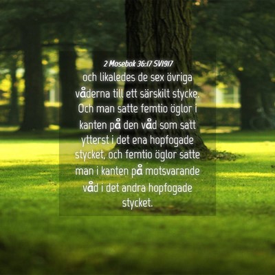 Picture 04 - 2 Mosebok 36:17 SV1917 - och likaledes de sex övriga våderna till ett - Bible Verse Picture