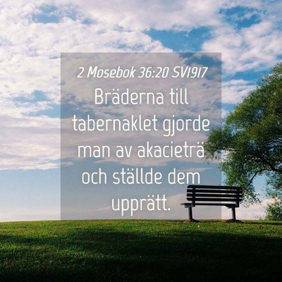 Picture 04 - 2 Mosebok 36:20 SV1917 - Bräderna till tabernaklet gjorde man av - Bible Verse Picture