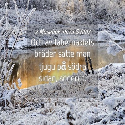 Picture 04 - 2 Mosebok 36:23 SV1917 - Och av tabernaklets bräder satte man tjugu på - Bible Verse Picture