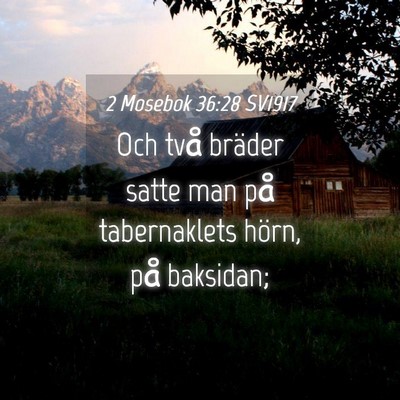 Picture 04 - 2 Mosebok 36:28 SV1917 - Och två bräder satte man på tabernaklets - Bible Verse Picture