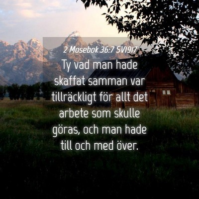 Picture 04 - 2 Mosebok 36:7 SV1917 - Ty vad man hade skaffat samman var tillräckligt - Bible Verse Picture