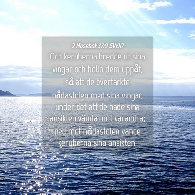 Picture 04 - 2 Mosebok 37:9 SV1917 - Och keruberna bredde ut sina vingar och höllo - Bible Verse Picture