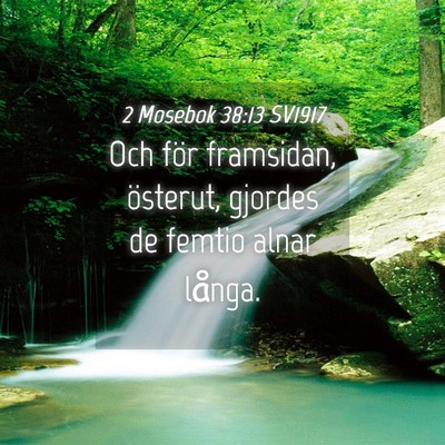 Picture 04 - 2 Mosebok 38:13 SV1917 - Och för framsidan, österut, gjordes de femtio - Bible Verse Picture