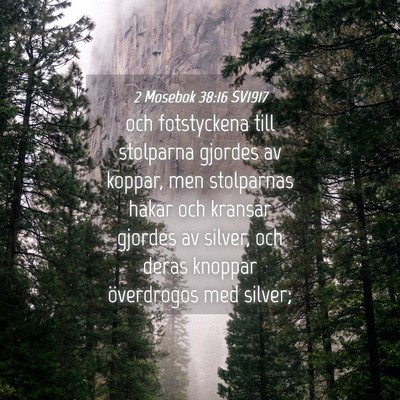 Picture 04 - 2 Mosebok 38:16 SV1917 - och fotstyckena till stolparna gjordes av koppar, - Bible Verse Picture