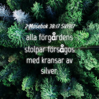 Picture 04 - 2 Mosebok 38:17 SV1917 - alla förgårdens stolpar försågos med kransar - Bible Verse Picture