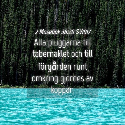 Picture 04 - 2 Mosebok 38:20 SV1917 - Alla pluggarna till tabernaklet och till - Bible Verse Picture