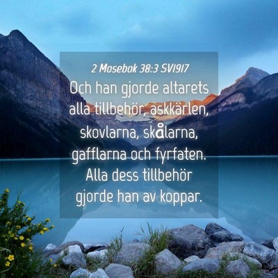 Picture 04 - 2 Mosebok 38:3 SV1917 - Och han gjorde altarets alla tillbehör, - Bible Verse Picture