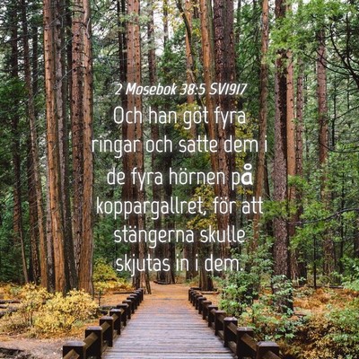 Picture 04 - 2 Mosebok 38:5 SV1917 - Och han göt fyra ringar och satte dem i de fyra - Bible Verse Picture