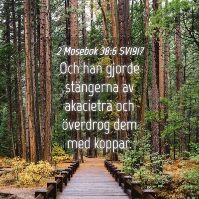 Picture 04 - 2 Mosebok 38:6 SV1917 - Och han gjorde stängerna av akacieträ och - Bible Verse Picture