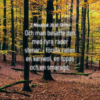 Picture 04 - 2 Mosebok 39:10 SV1917 - Och man besatte den med fyra rader stenar: i - Bible Verse Picture