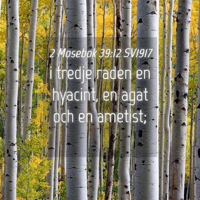 Picture 04 - 2 Mosebok 39:12 SV1917 - i tredje raden en hyacint, en agat och en - Bible Verse Picture