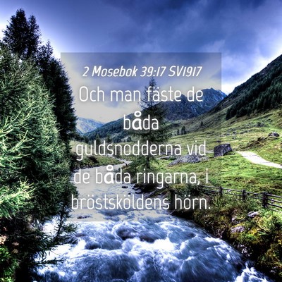Picture 04 - 2 Mosebok 39:17 SV1917 - Och man fäste de båda guldsnodderna vid de - Bible Verse Picture