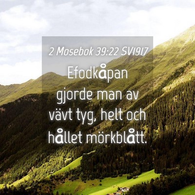 Picture 04 - 2 Mosebok 39:22 SV1917 - Efodkåpan gjorde man av vävt tyg, helt och - Bible Verse Picture
