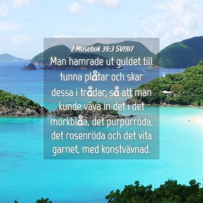 Picture 04 - 2 Mosebok 39:3 SV1917 - Man hamrade ut guldet till tunna plåtar och skar - Bible Verse Picture