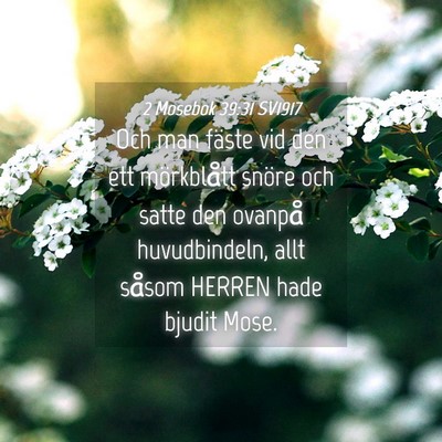 Picture 04 - 2 Mosebok 39:31 SV1917 - Och man fäste vid den ett mörkblått snöre och - Bible Verse Picture