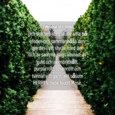 Picture 04 - 2 Mosebok 39:5 SV1917 - Och skärpet, som skulle sitta på efoden och - Bible Verse Picture