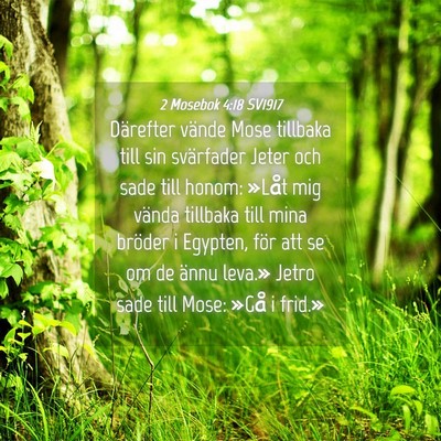 Picture 04 - 2 Mosebok 4:18 SV1917 - Därefter vände Mose tillbaka till sin - Bible Verse Picture