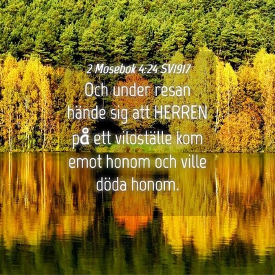 Picture 04 - 2 Mosebok 4:24 SV1917 - Och under resan hände sig att HERREN på ett - Bible Verse Picture
