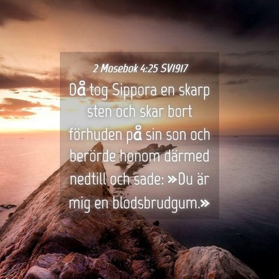 Picture 04 - 2 Mosebok 4:25 SV1917 - Då tog Sippora en skarp sten och skar bort - Bible Verse Picture