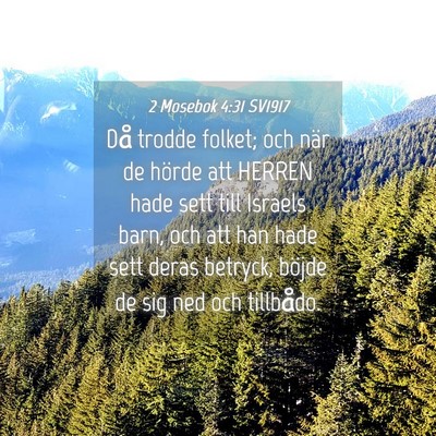 Picture 04 - 2 Mosebok 4:31 SV1917 - Då trodde folket; och när de hörde att HERREN - Bible Verse Picture