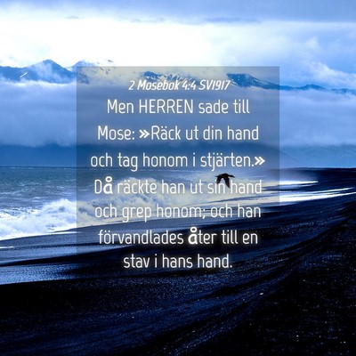 Picture 04 - 2 Mosebok 4:4 SV1917 - Men HERREN sade till Mose: »Räck ut din hand - Bible Verse Picture
