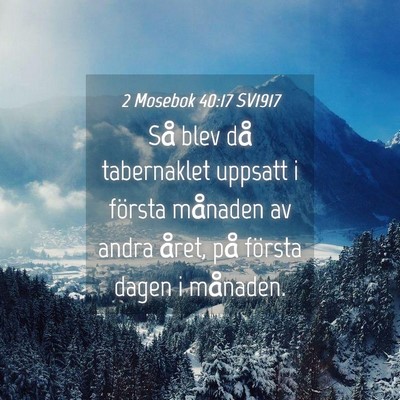 Picture 04 - 2 Mosebok 40:17 SV1917 - Så blev då tabernaklet uppsatt i första - Bible Verse Picture