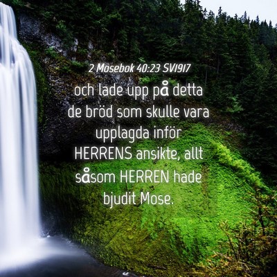 Picture 04 - 2 Mosebok 40:23 SV1917 - och lade upp på detta de bröd som skulle vara - Bible Verse Picture