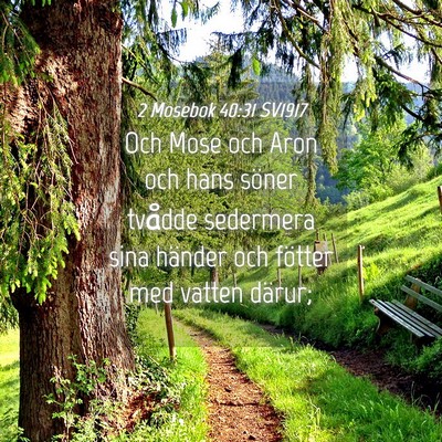 Picture 04 - 2 Mosebok 40:31 SV1917 - Och Mose och Aron och hans söner tvådde - Bible Verse Picture