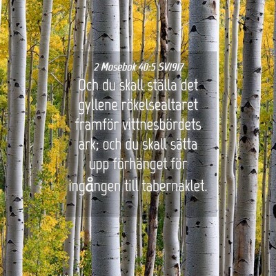 Picture 04 - 2 Mosebok 40:5 SV1917 - Och du skall ställa det gyllene rökelsealtaret - Bible Verse Picture