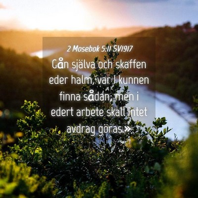 Picture 04 - 2 Mosebok 5:11 SV1917 - Gån själva och skaffen eder halm, var I kunnen - Bible Verse Picture