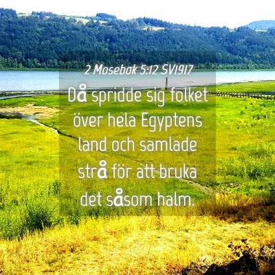 Picture 04 - 2 Mosebok 5:12 SV1917 - Då spridde sig folket över hela Egyptens land - Bible Verse Picture