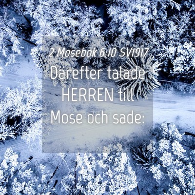 Picture 04 - 2 Mosebok 6:10 SV1917 - Därefter talade HERREN till Mose och - Bible Verse Picture