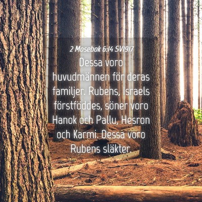 Picture 04 - 2 Mosebok 6:14 SV1917 - Dessa voro huvudmännen för deras familjer. - Bible Verse Picture