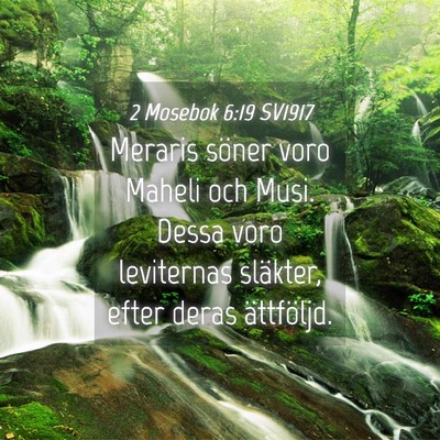 Picture 04 - 2 Mosebok 6:19 SV1917 - Meraris söner voro Maheli och Musi. Dessa voro - Bible Verse Picture