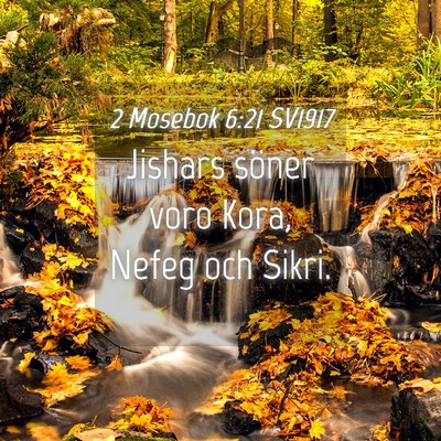 Picture 04 - 2 Mosebok 6:21 SV1917 - Jishars söner voro Kora, Nefeg och - Bible Verse Picture