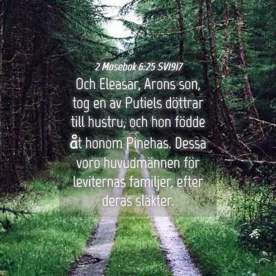 Picture 04 - 2 Mosebok 6:25 SV1917 - Och Eleasar, Arons son, tog en av Putiels - Bible Verse Picture