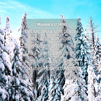 Picture 04 - 2 Mosebok 6:27 SV1917 - Det var dessa som talade med Farao, konungen i - Bible Verse Picture