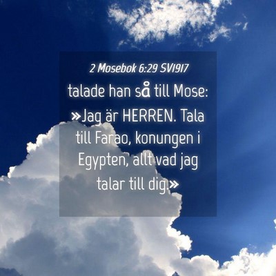 Picture 04 - 2 Mosebok 6:29 SV1917 - talade han så till Mose: »Jag är HERREN. Tala - Bible Verse Picture