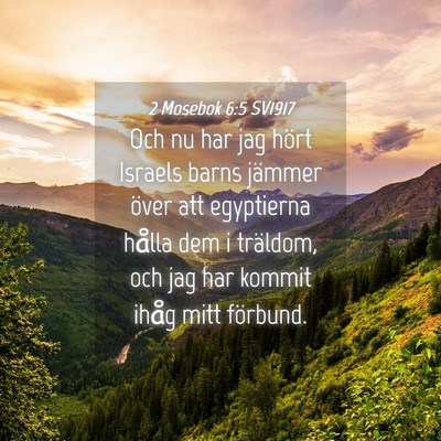 Picture 04 - 2 Mosebok 6:5 SV1917 - Och nu har jag hört Israels barns jämmer över - Bible Verse Picture