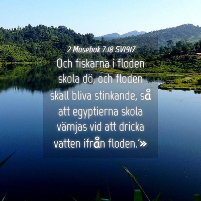 Picture 04 - 2 Mosebok 7:18 SV1917 - Och fiskarna i floden skola dö, och floden skall - Bible Verse Picture