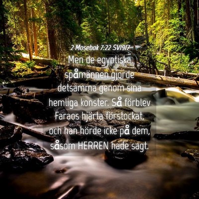 Picture 04 - 2 Mosebok 7:22 SV1917 - Men de egyptiska spåmännen gjorde detsamma - Bible Verse Picture
