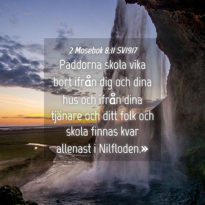 Picture 04 - 2 Mosebok 8:11 SV1917 - Paddorna skola vika bort ifrån dig och dina hus - Bible Verse Picture