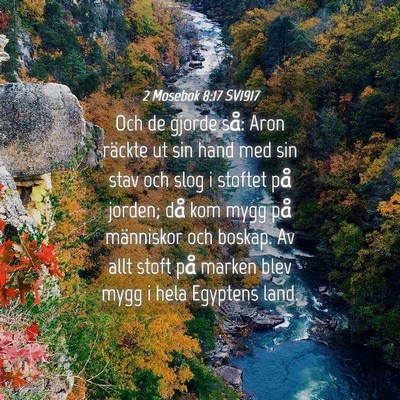 Picture 04 - 2 Mosebok 8:17 SV1917 - Och de gjorde så: Aron räckte ut sin hand med - Bible Verse Picture