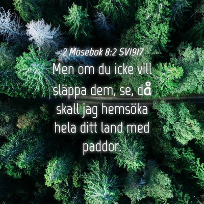 Picture 04 - 2 Mosebok 8:2 SV1917 - Men om du icke vill släppa dem, se, då skall - Bible Verse Picture