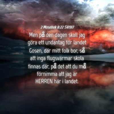 Picture 04 - 2 Mosebok 8:22 SV1917 - Men på den dagen skall jag göra ett undantag - Bible Verse Picture