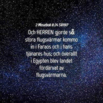 Picture 04 - 2 Mosebok 8:24 SV1917 - Och HERREN gjorde så: stora flugsvärmar kommo - Bible Verse Picture