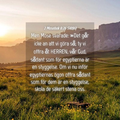 Picture 04 - 2 Mosebok 8:26 SV1917 - Men Mose svarade: »Det går icke an att vi göra - Bible Verse Picture