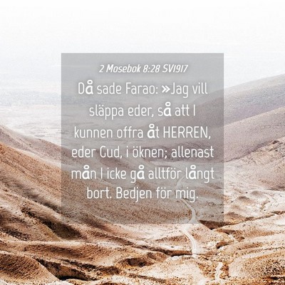 Picture 04 - 2 Mosebok 8:28 SV1917 - Då sade Farao: »Jag vill släppa eder, så att - Bible Verse Picture
