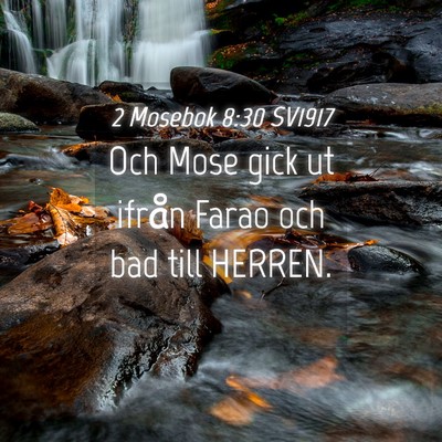 Picture 04 - 2 Mosebok 8:30 SV1917 - Och Mose gick ut ifrån Farao och bad till - Bible Verse Picture