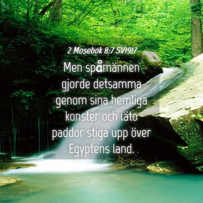 Picture 04 - 2 Mosebok 8:7 SV1917 - Men spåmännen gjorde detsamma genom sina - Bible Verse Picture